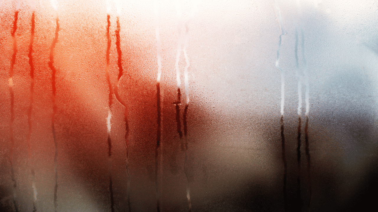 Can Foggy Double Pane Windows Be Repaired?